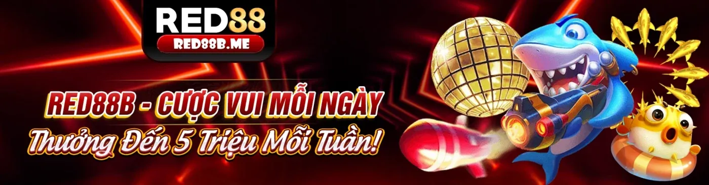 Mẹo và chiến thuật chơi game bài hiệu quả