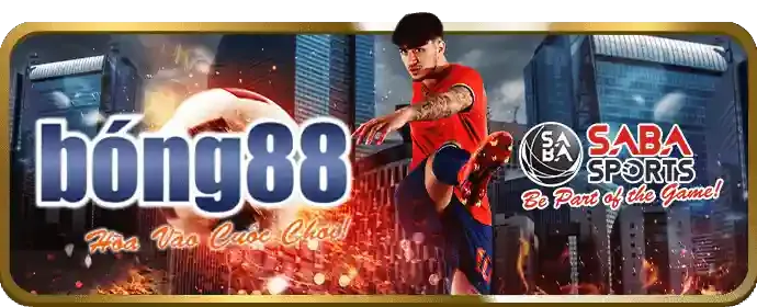 Bước 5: Rút tiền thắng cược